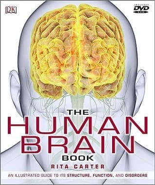 The Human Brain
